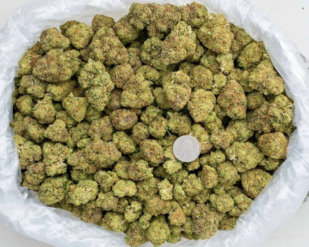 acai gelato | top tier | flower | 1 oz
