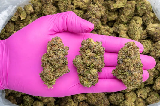 garlic truffle | top tier | flower