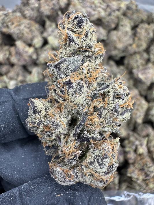 jack herer | exotic indoor | flower