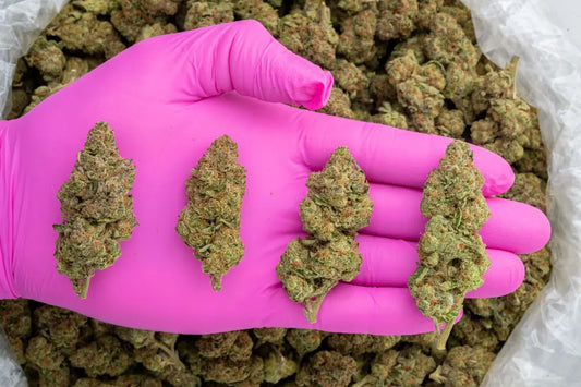 face wreck | top tier | flower