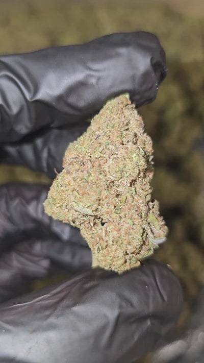 blueberry kush | top tier | flower | 1 oz