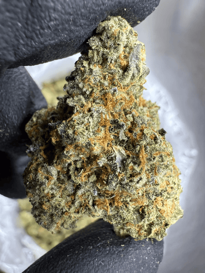 acai gelato | top tier | flower