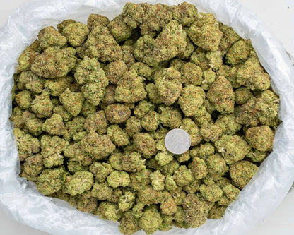 acai gelato | top tier | flower