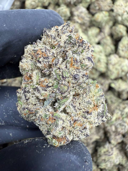 watermelon zkittles | exotic indoor | flower