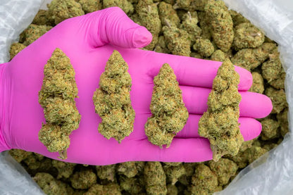 cookies & cream | top tier | flower