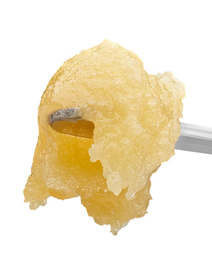 cherry pie | badder | concentrates