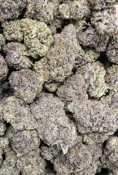 pacific drizzle | boutique tier | flower