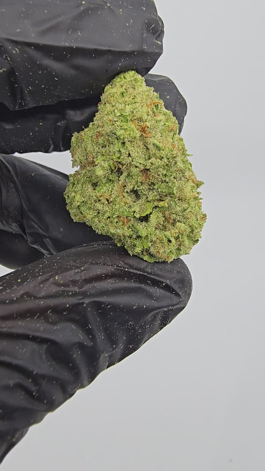 tangerine dream | top tier | flower