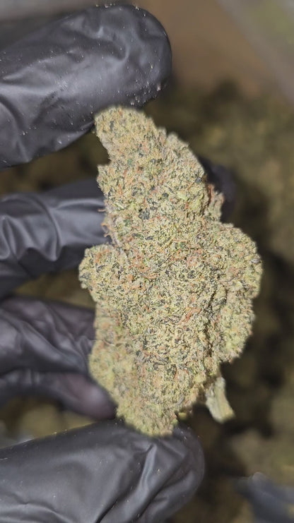 cherry mimosa | top tier | flower | 1 oz