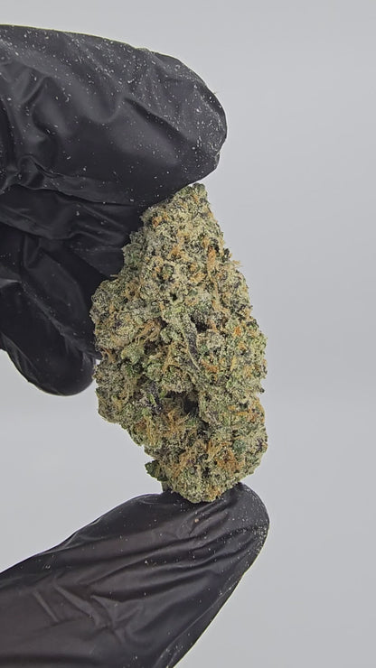 lemon cherry gelato | boutique tier | flower