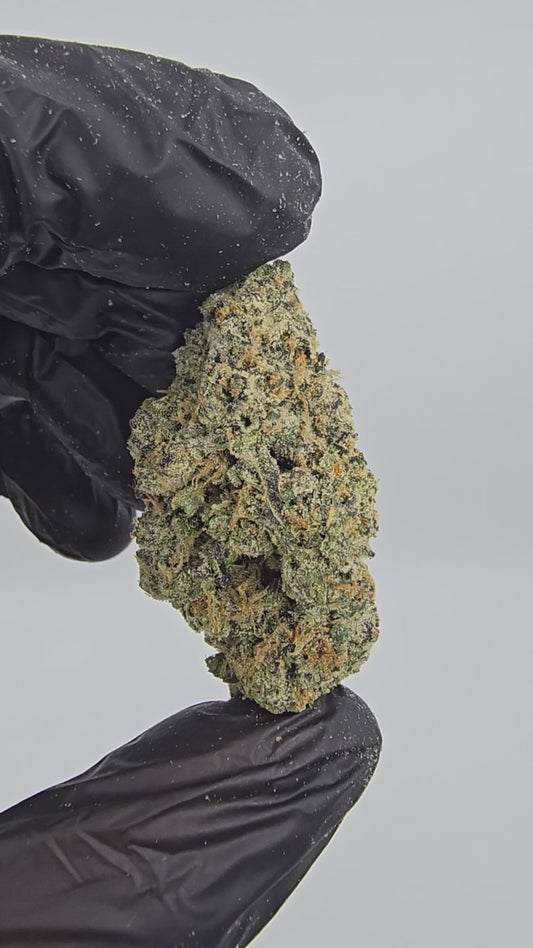 lemon cherry gelato | boutique tier | flower