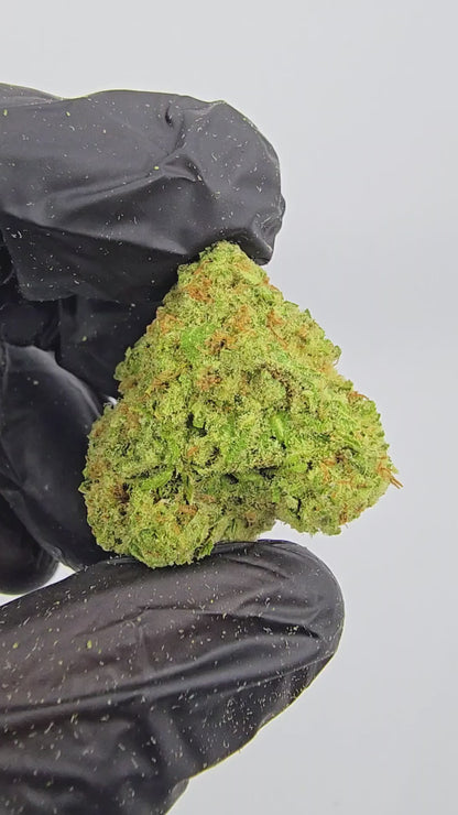 tangerine dream | top tier | flower