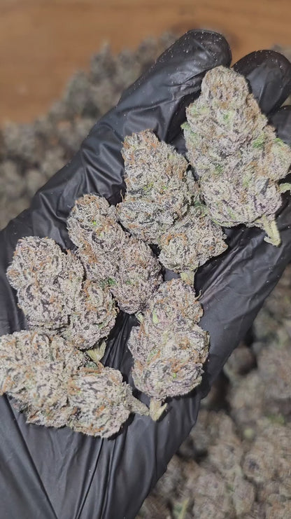 blue runtz | exotic indoor | flower