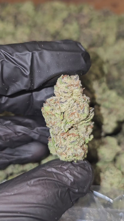 sour dream | [sour diesel x blue dream] | top tier | flower