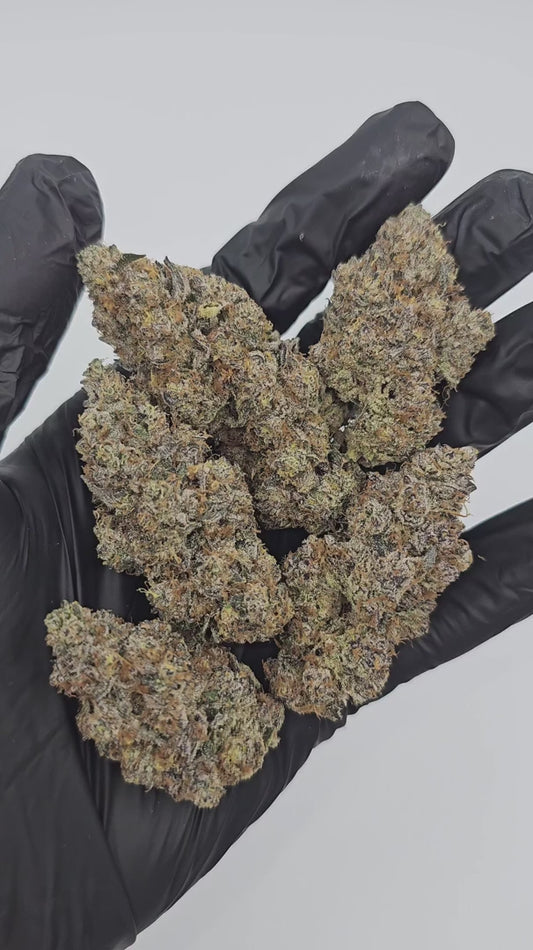 peanut butter breath | exotic indoor | flower