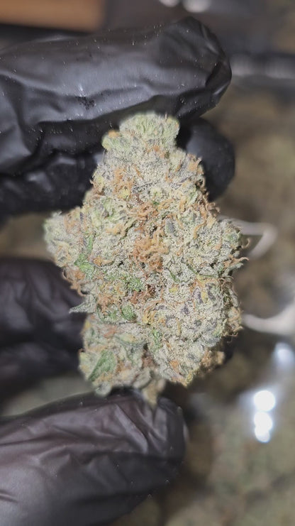 UK cheese | exotic indoor | flower