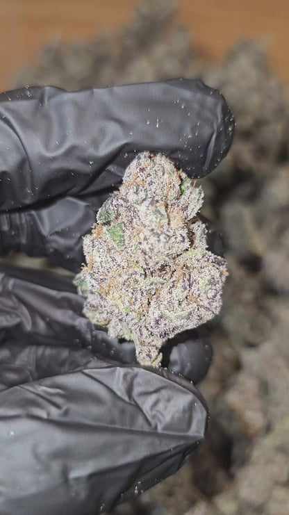 blue runtz | exotic indoor | flower