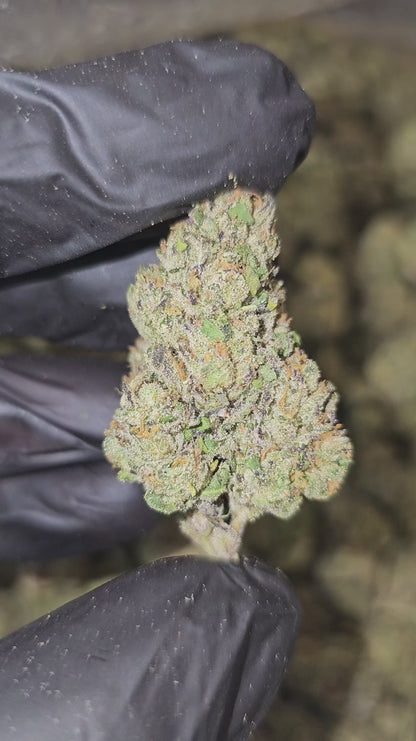 bubba kush | top tier | flower