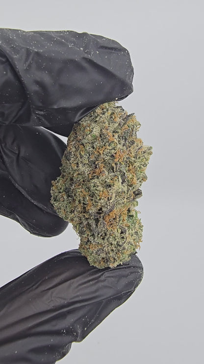 lemon cherry gelato | boutique tier | flower