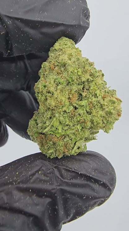 tangerine dream | top tier | flower