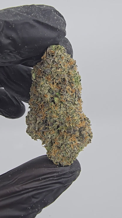 lemon cherry gelato | boutique tier | flower