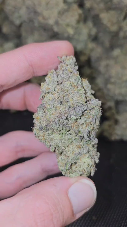 mac 1 | exotic indoor | flower