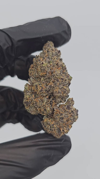 neon slushie | exotic indoor | flower