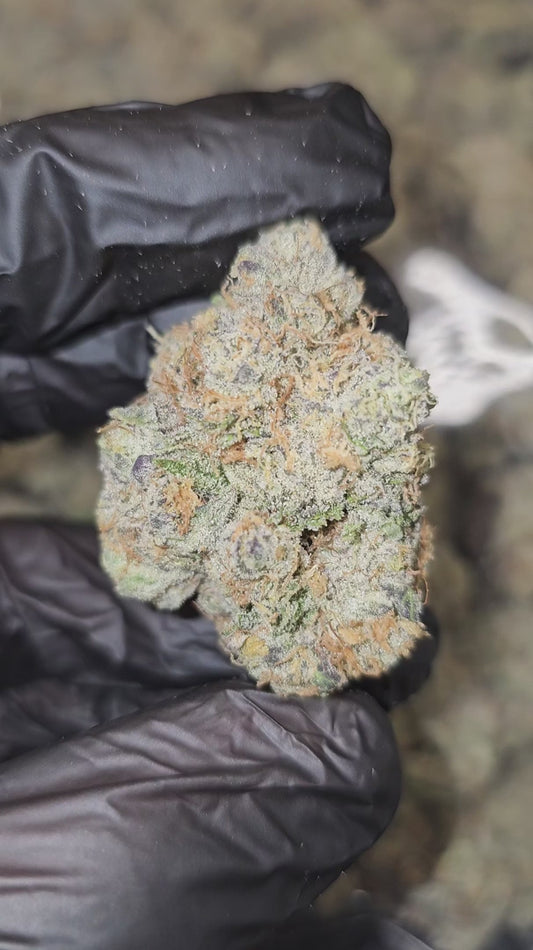 UK cheese | exotic indoor | flower