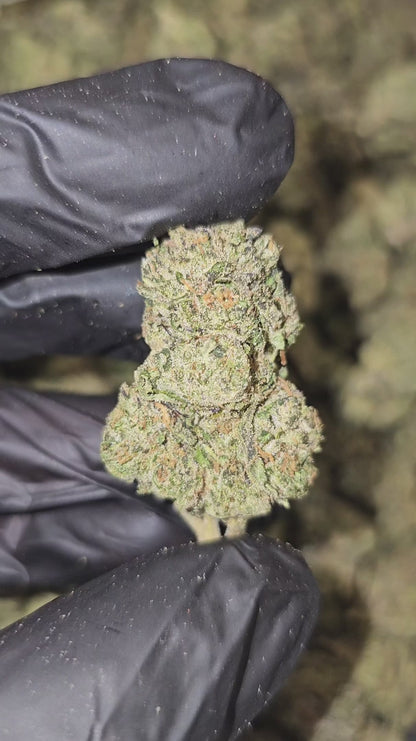 bubba kush | top tier | flower