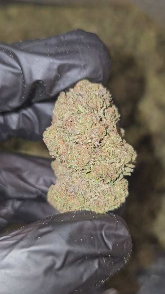 blueberry kush | top tier | flower | 1 oz