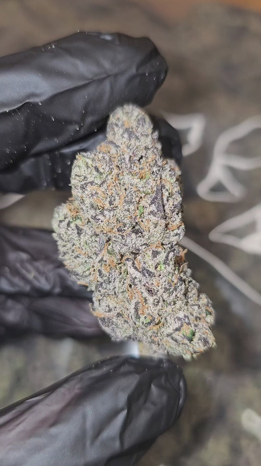 super runtz | exotic indoor | flower