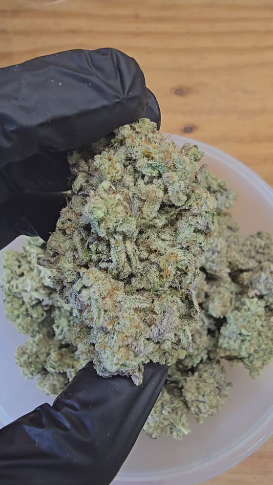 mac 1 | exotic indoor | flower