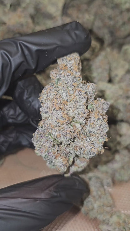 super boof | exotic indoor | flower