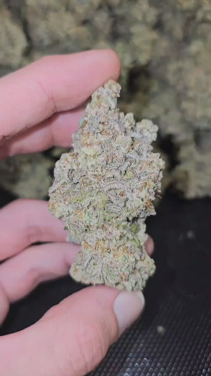 mac 1 | exotic indoor | flower