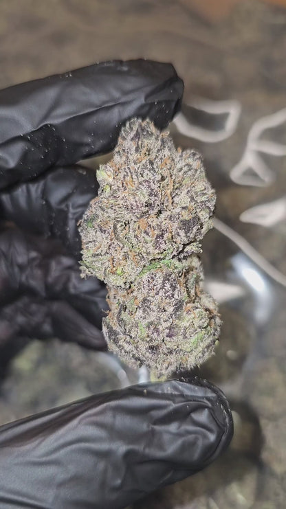 super runtz | exotic indoor | flower