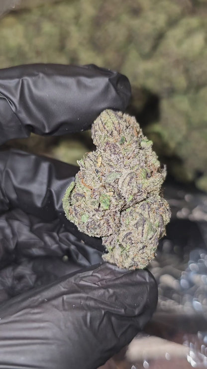 sour dream | [sour diesel x blue dream] | top tier | flower