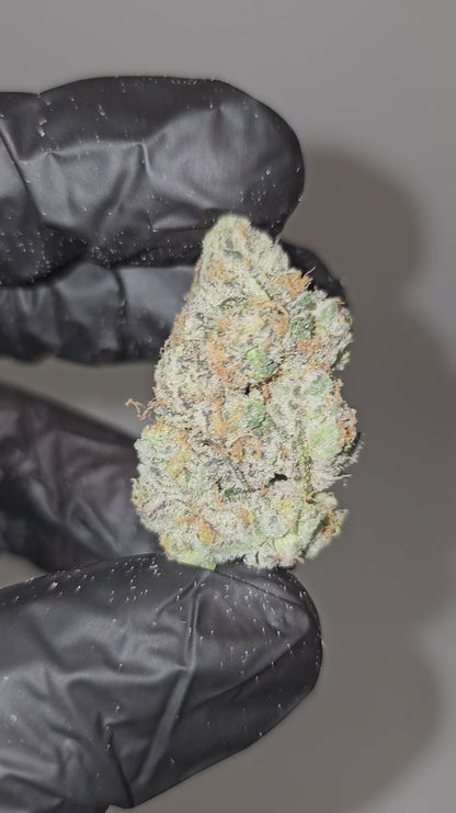 sour diesel | boutique tier | flower