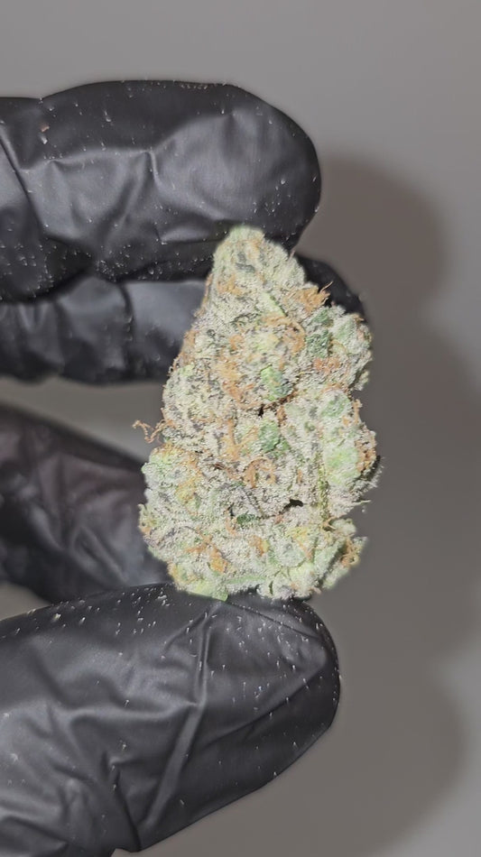 sour diesel | boutique tier | flower