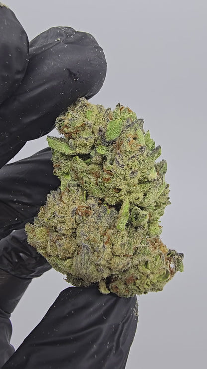 passion fruit | top tier | flower