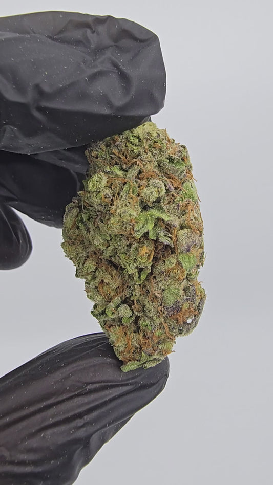 gary peyton | top tier | flower