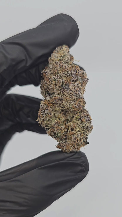 peanut butter breath | exotic indoor | flower