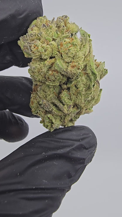 passion fruit | top tier | flower