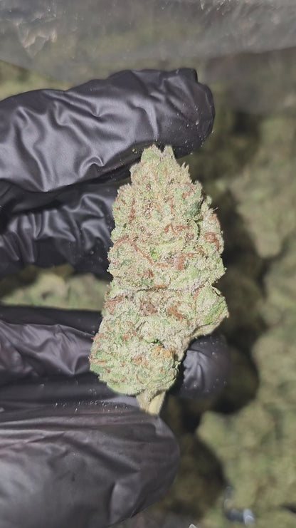 papaya pie | top tier | flower