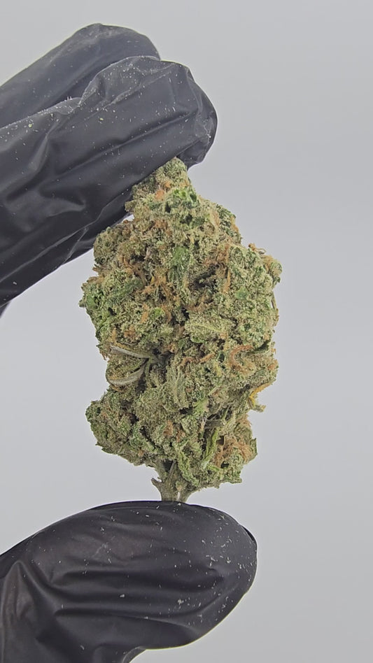 blue dream | boutique tier | flower