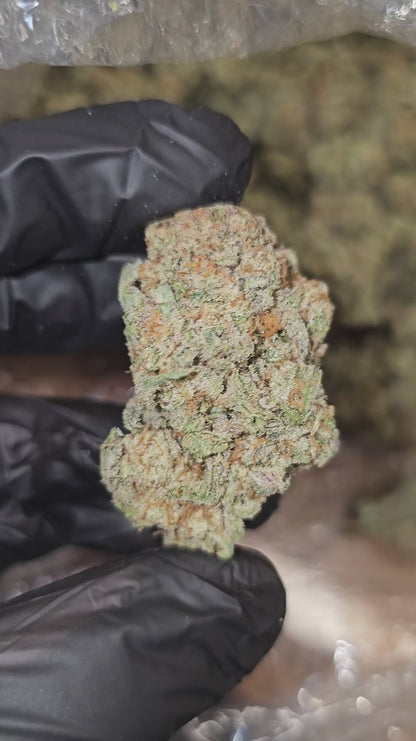 sex panther | boutique tier | flower