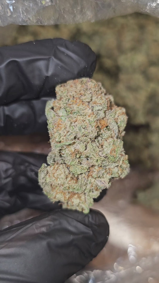 sex panther | boutique tier | flower