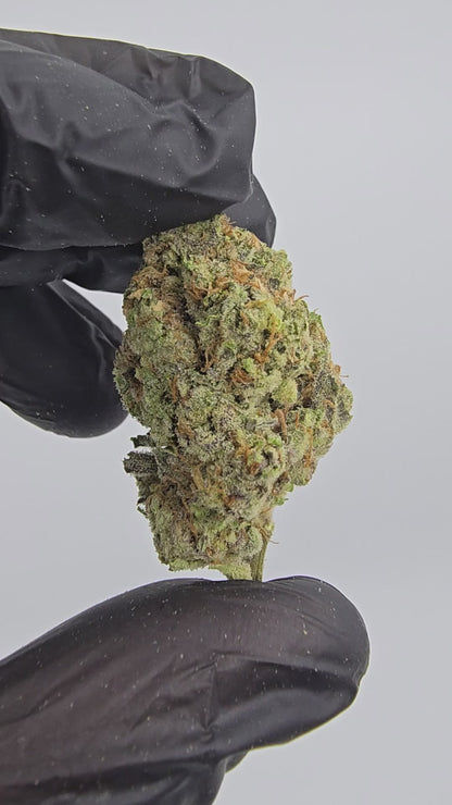 gary peyton | top tier | flower