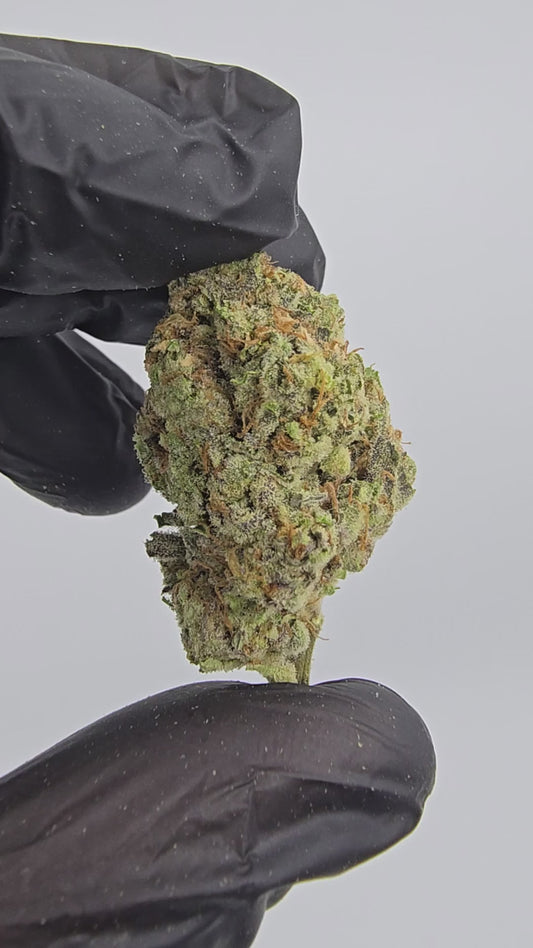 gary peyton | top tier | flower