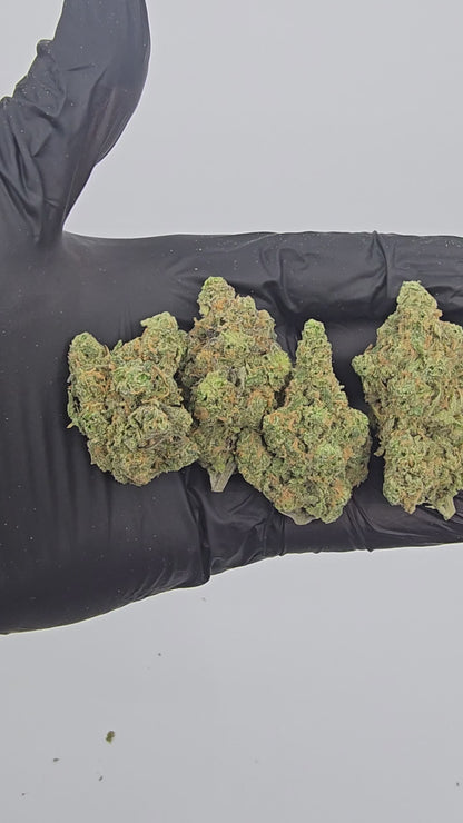 blue dream | boutique tier | flower