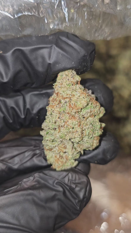 sex panther | boutique tier | flower